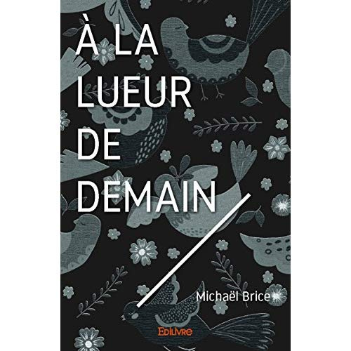 Brice_Michael-_la_lueur_de_demain-9782414028016_0