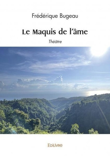 Bugeau_Fr_d_rique-Le_maquis_de_l_me-9782414621910_0