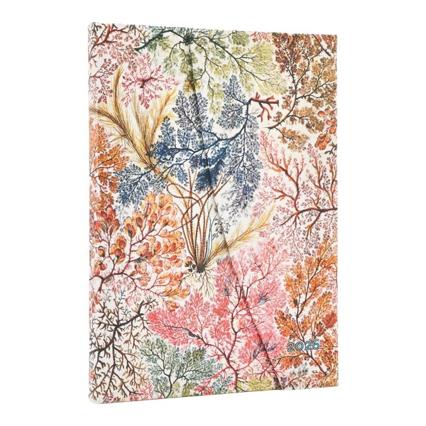 COLLECTIF-AGENDA_2026_12_MOIS_MIDI_VERTICAL_-_ANEMONE_WILLIAM_KILBURN-9780349709208_0