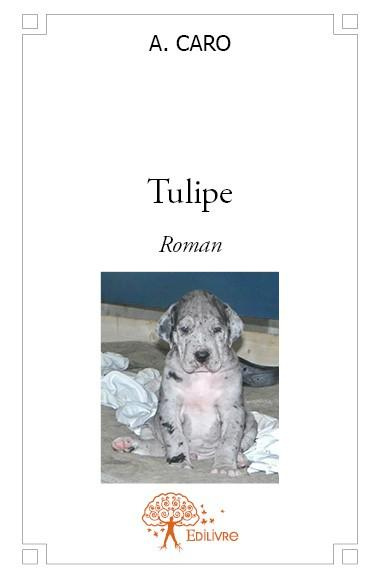 Caro_A.-Tulipe._Roman-9782332573827_0