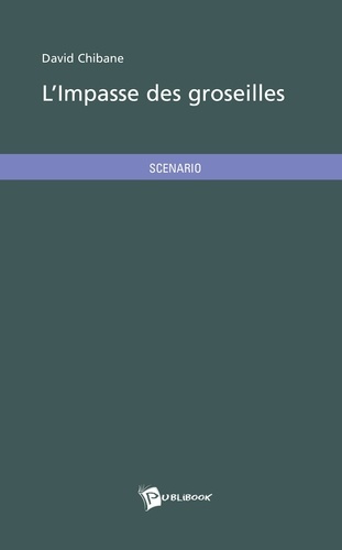 Chibane_David-L_impasse_des_groseilles-9782748346275_0