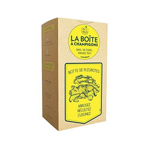 Collectif-Je_cuisine_mes_pleurotes_Faites_pousser_vos_pleurotes_gris_et_r_galez-vous_-9782501099417_0