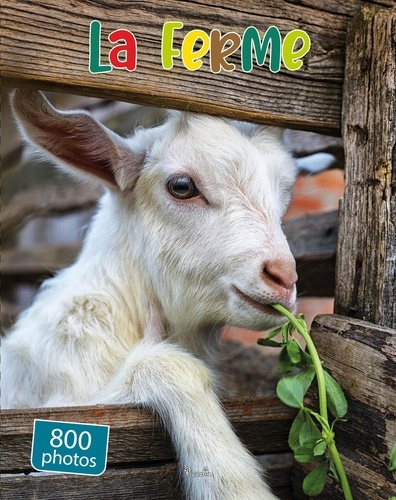 Collectif_Collectif-Les_animaux_de_la_ferme-9782753079427_0