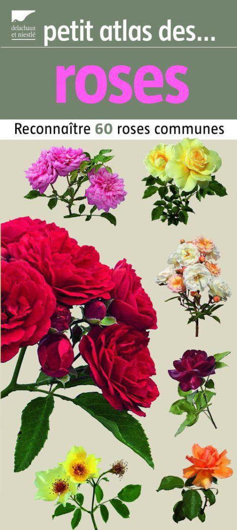 Cruse_El_onore_Bugnon_Simon-Petit_atlas_des_roses-9782603016619_0