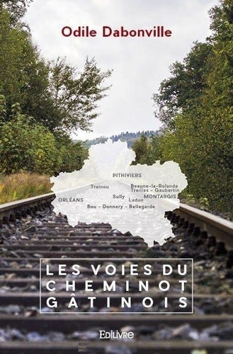Dabonville_Odile-Les_Voies_du_cheminot_g_tinois-9782414456147_0