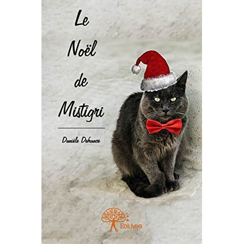 Defrance_Dani_le-Le_No_l_de_Mistigri-9782332842091_0