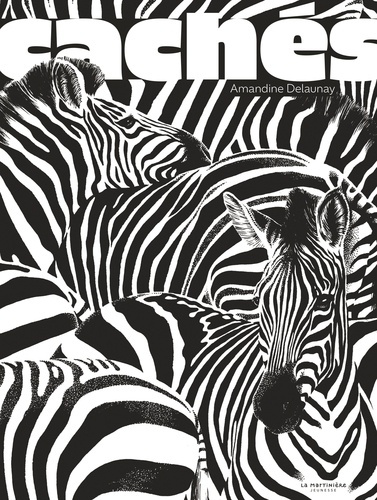 Delaunay_Amandine-Cach_s-9791040118817_0