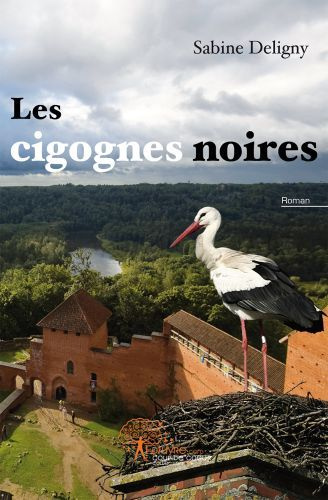 Deligny_Sabine-Les_cigognes_noires-9782812151651_0