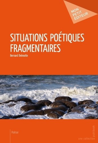 Delmotte_Bernard-Situations_po_tiques_fragmentaires-9782748376326_0