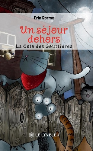 Dorme_Erin-Un_s_jour_dehors._La_colo_des_Goutti_res-9791043702846_0