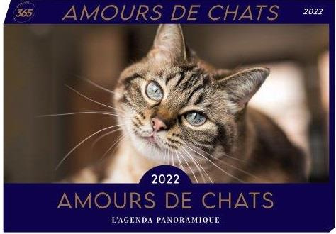 EDITIONS_365-Amours_de_chats._Edition_2022-9782377618859_0