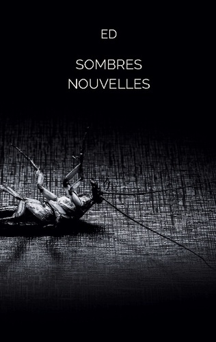 Ed-Sombres_nouvelles-9782322574216_0