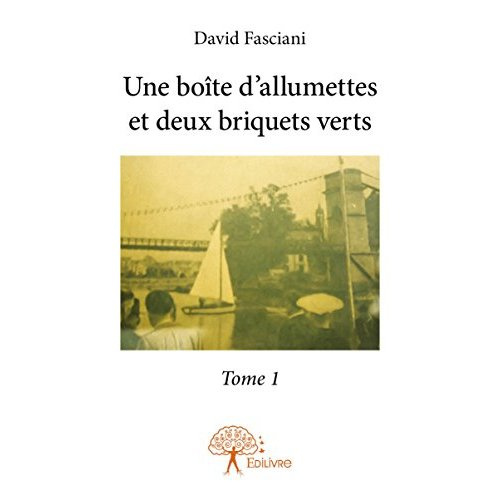 Fasciani_David-Une_bo_te_d_allumettes_et_deux_briquets_verts_-_Tome_1-9782332925886_0
