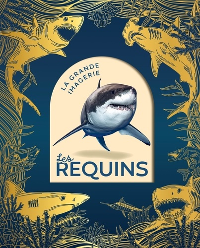 Franco_Cathy_Dayan_Jacques-Les_requins-9782215198024_0