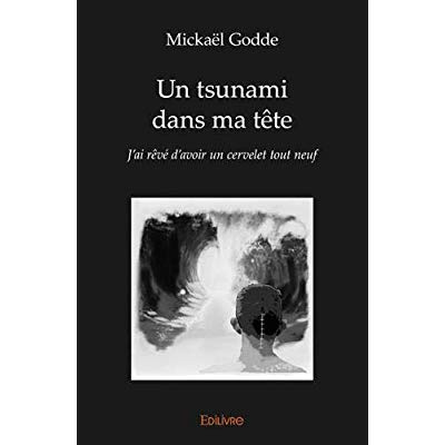 Godde_Micka_l_Cassereau_Julien-Un_tsunami_dans_ma_t_te._J_ai_r_v_d_avoir_un_cervelet_tout_neuf-9782414254040_0