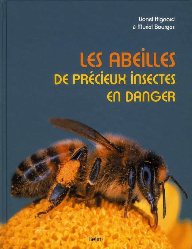 Hignard_Lionel_Bourges_Muriel_Calarnou_Yves-Les_abeilles_de_pr_cieux_insectes_en_danger-9782701154664_0