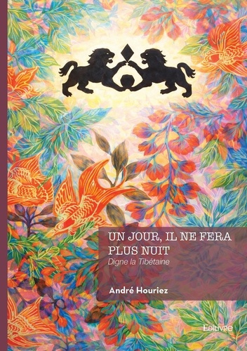Houriez_Andr_-Un_jour_il_ne_fera_plus_nuit._Digne_la_Tib_taine-9782414822744_0