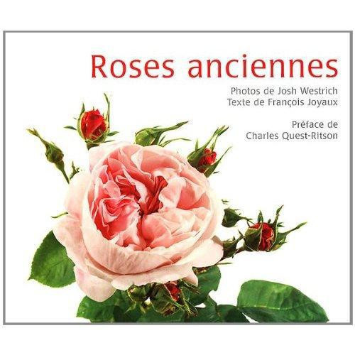 Joyaux_Fran_ois-Roses_anciennes-9782362610004_0