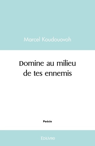 Koudouovoh_Ananivi_hos_-Domine_au_milieu_de_tes_ennemis-9782414476091_0