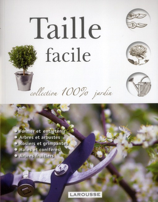 Larousse_Squire_David-Taille_facile-9782035871800_0