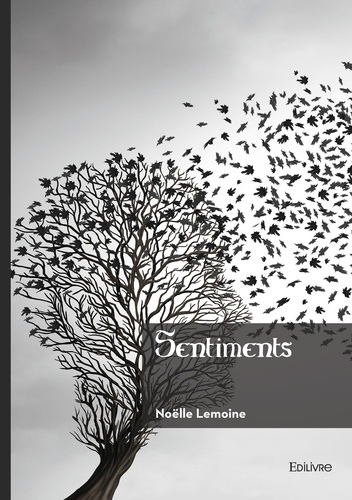 Lemoine_No_lle-Sentiments-9782414811076_0