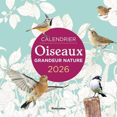 Lesaffre_Guilhem-Calendrier_Oiseaux_grandeur_nature._Edition_2026-9782815323307_0