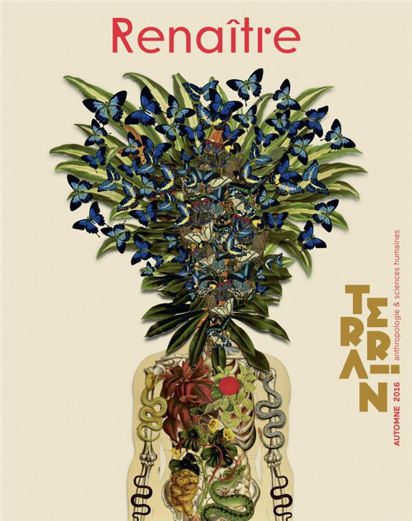 MANCERON_VANESSA-TERRAIN_N_66_AUTOMNE_2016-9782955596401_0