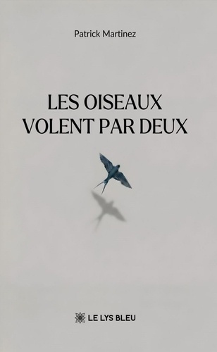Martinez_Patrick-Les_oiseaux_volent_par_deux-9791044035189_0