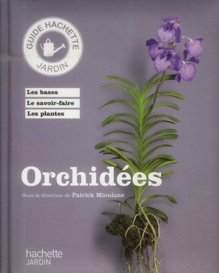 Mioulane_Patrick-Orchid_es-9782012384194_0