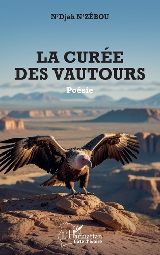 N_z_bou_N_djah-La_cur_e_des_vautours-9782336580227_0