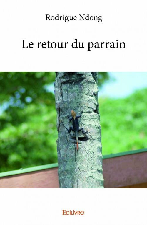 Ndong_Rodrigue-Le_retour_du_parrain-9782332990754_0
