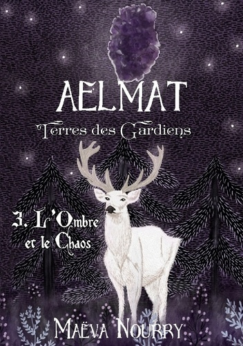 Nourry_Ma_va-Aelmat_terres_gardiens._L_ombre_et_le_chaos-9782322539598_0
