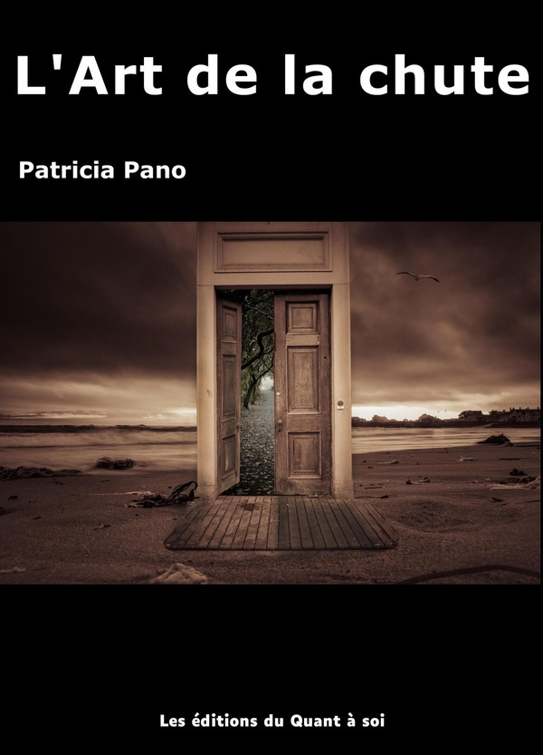 Pano_Patricia-L_Art_de_la_chute-9791040580737_0