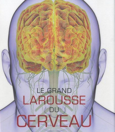 Parker_Steve_Collectif_Carter_Rita_Aldridge_S-Le_grand_Larousse_du_cerveau-9782035849458_0