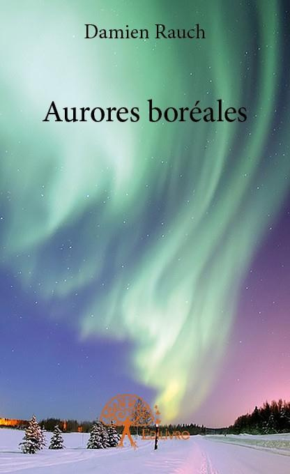 Rauch_Damien-Aurores_bor_ales-9782332849144_0