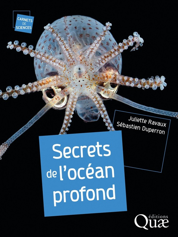 Ravaux-Secrets_de_l_oc_an_profond-9782759242511_0