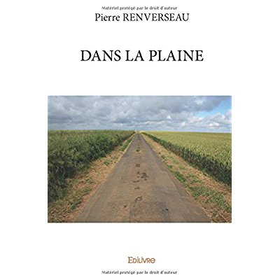 Renverseau_Pierre-Dans_la_plaine-9782334198325_0