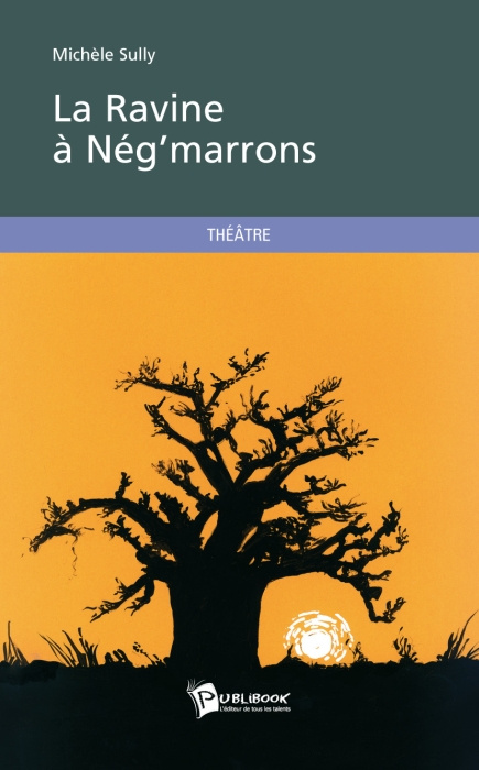 Sully_Mich_le-La_ravine_N_g_marrons-9782748351804_0