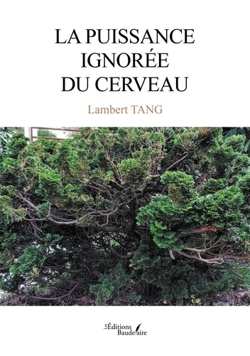 Tang_Lambert-La_puissance_ignor_e_du_cerveau-9791020392596_0