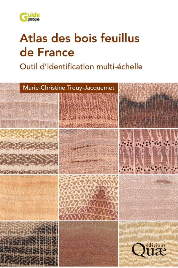 Trouy_Marie_Christine-Atlas_des_bois_feuillus_de_France_outil_d_identification_multi-_chelle-9782759240562_0