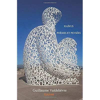 Valdeli_vre_Guillaume-Ha_kus_-_po_mes_et_pens_es-9782414205981_0