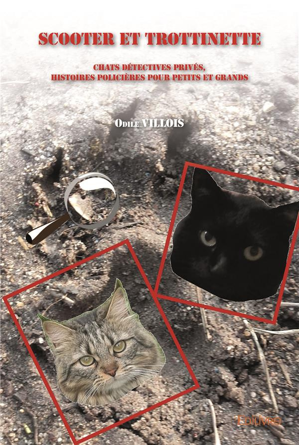 Villois_Odile-Scooter_et_Trottinette._Chats_d_tectives_priv_s_histoires_polici_res_pour_petits_et_grands-9782414283163_0