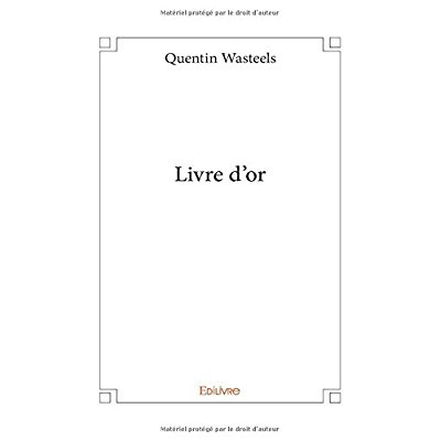 Wasteels_Quentin-Livre_d_or-9782414201549_0
