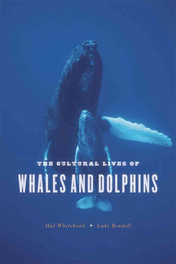 Whitehead_Hal-The_Cultural_Lives_of_Whales_and_Dolphins-9780226325927_0