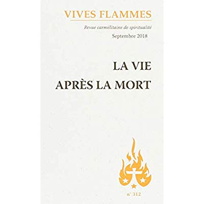 XXX-Vives_flammes_N_312_La_vie_apr_s_la_mort-9782847135800_0