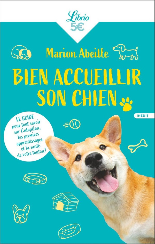 abeille-marion-bien-accueillir-son-chien_0