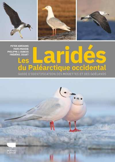 adriaens-peter-3b-muusse-mars-3b-dubois-philippe-j-les-larides-du-palearctique-occidental-guide-d-identification-des-mouettes-et-des-goelands_0