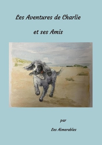 aimerables-les-les-aventures-de-charlie-et-ses-amis_0