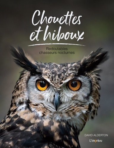 alderton-david-chouettes-et-hiboux-redoutables-chasseurs-nocturnes_0