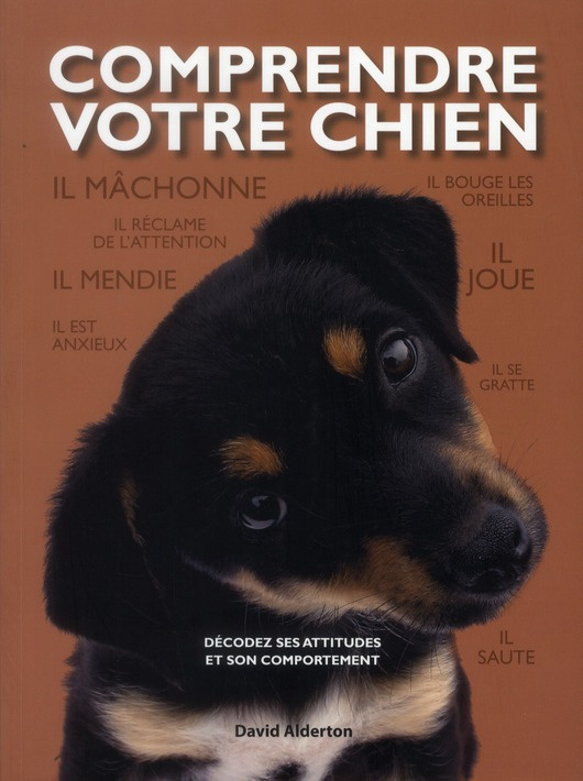 alderton-david-comprendre-votre-chien-decodez-les-attitudes-et-le-comportement-de-votre-chien_0